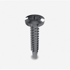 TEK SCREWS 10G X 22MM BLACK PACK = 100 TEK SCREWS 10G X 22MM BLACK PACK = 100
